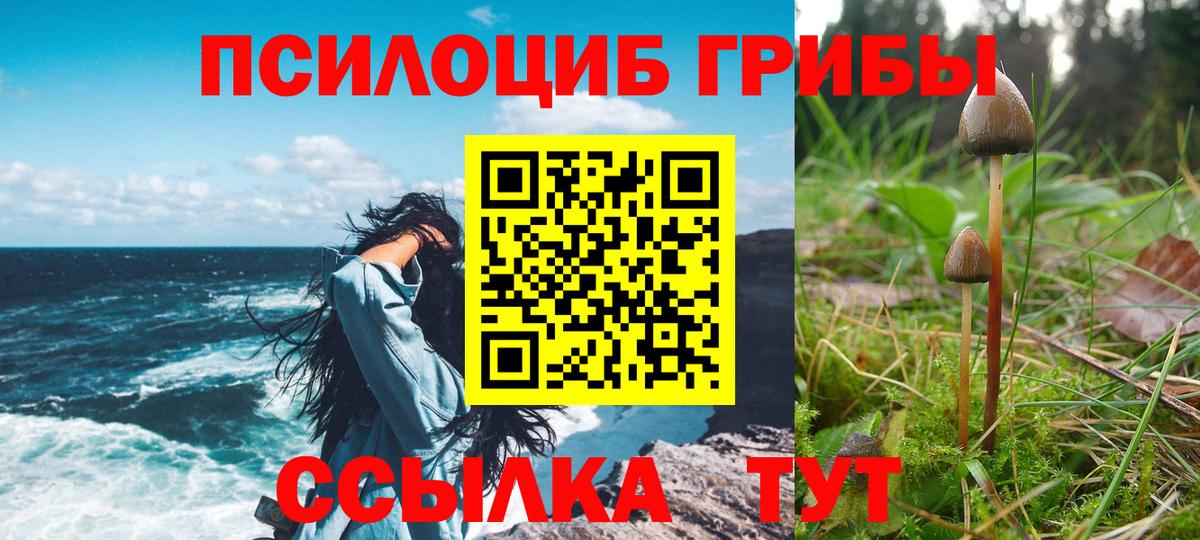Печора  Галлюциногенные грибы мицелий  Вход с VPN  Псилоцибиновые грибы MAGIC MUSHROOMS 