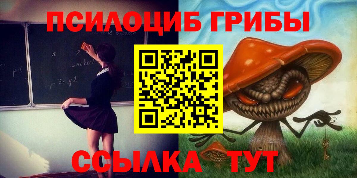 Псилоцибиновые грибы Psilocybe Печора